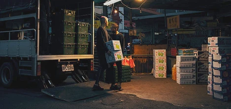 Insights - Case Studies(2)